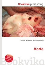 Aorta