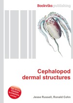 Cephalopod dermal structures