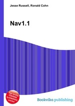 Nav1.1
