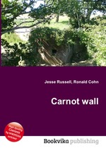 Carnot wall
