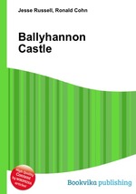 Ballyhannon Castle