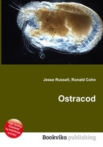 Ostracod