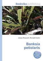 Banksia petiolaris