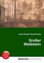 Groer Waldstein
