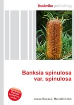 Banksia spinulosa var. spinulosa