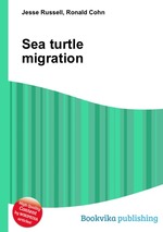 Sea turtle migration