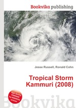 Tropical Storm Kammuri (2008)