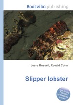 Slipper lobster