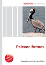 Pelecaniformes