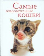 Самые очаровательные кошки
