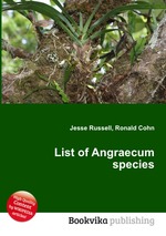 List of Angraecum species