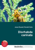 Diorhabda carinata