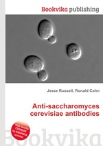 Anti-saccharomyces cerevisiae antibodies