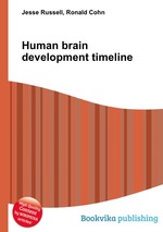 Human brain development timeline