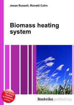 Biomass heating system