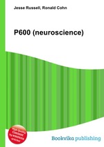 P600 (neuroscience)