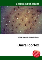 Barrel cortex
