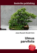 Ulmus parvifolia