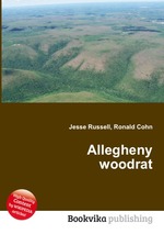 Allegheny woodrat