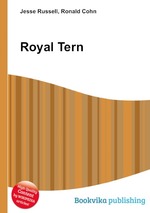 Royal Tern