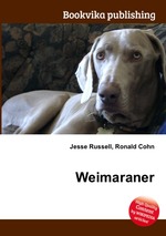 Weimaraner