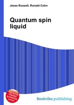 Quantum spin liquid