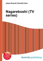 Nagareboshi (TV series)