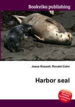 Harbor seal