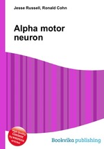 Alpha motor neuron