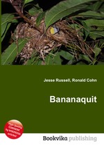 Bananaquit