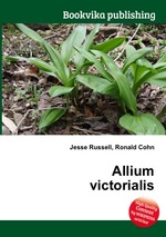 Allium victorialis