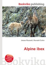 Alpine ibex