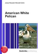 American White Pelican