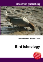 Bird ichnology