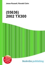 (55636) 2002 TX300