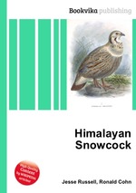 Himalayan Snowcock