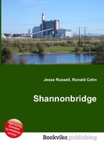 Shannonbridge