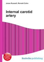 Internal carotid artery