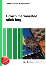 Brown marmorated stink bug