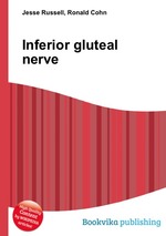 Inferior gluteal nerve