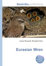 Eurasian Wren