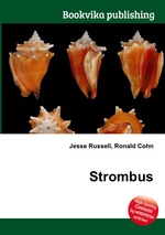 Strombus