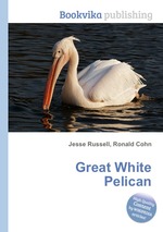 Great White Pelican