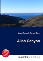 Aliso Canyon