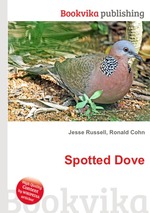 Spotted Dove