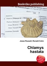 Chlamys hastata