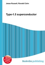 Type-1.5 superconductor