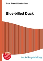 Blue-billed Duck