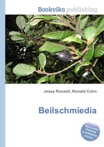 Beilschmiedia