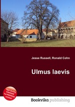 Ulmus laevis